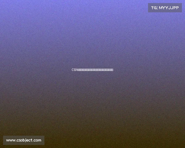 CBA球探揭秘：如何发掘潜力新星与球队未来的建设策略